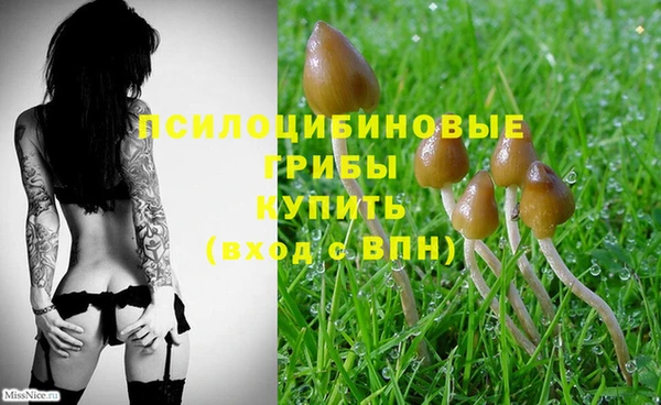 mix Сосновоборск