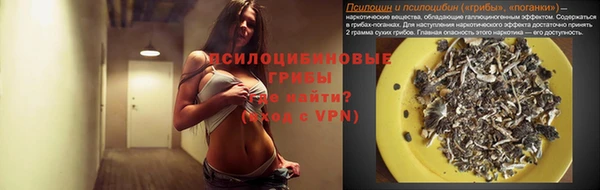 прущая мука Павловск