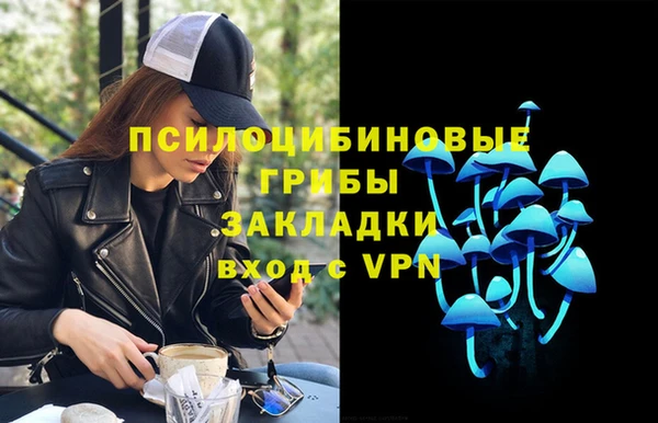 сатива Сосновка