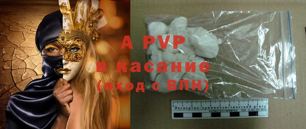 сатива Сосновка